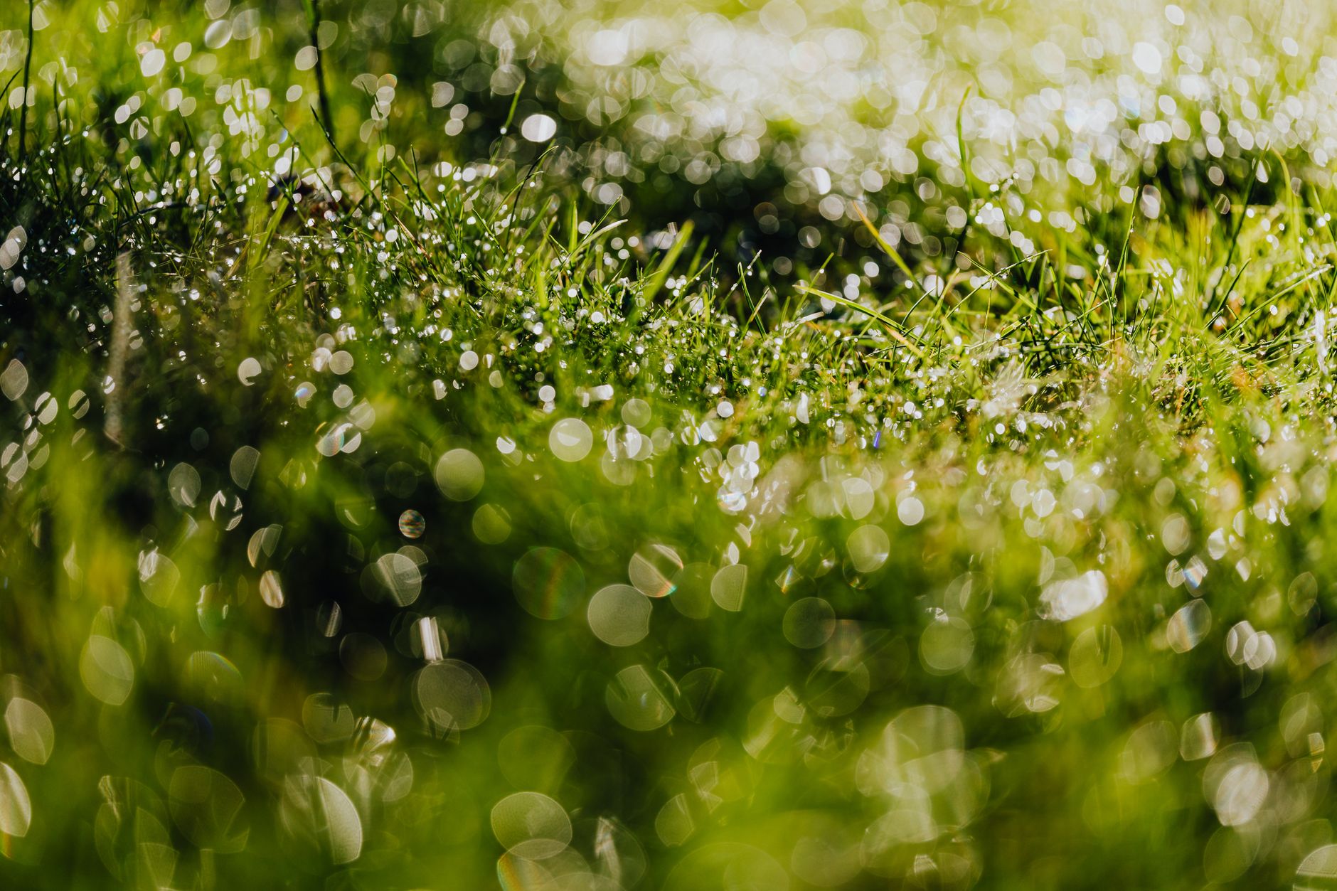 After the Rain Moves Through