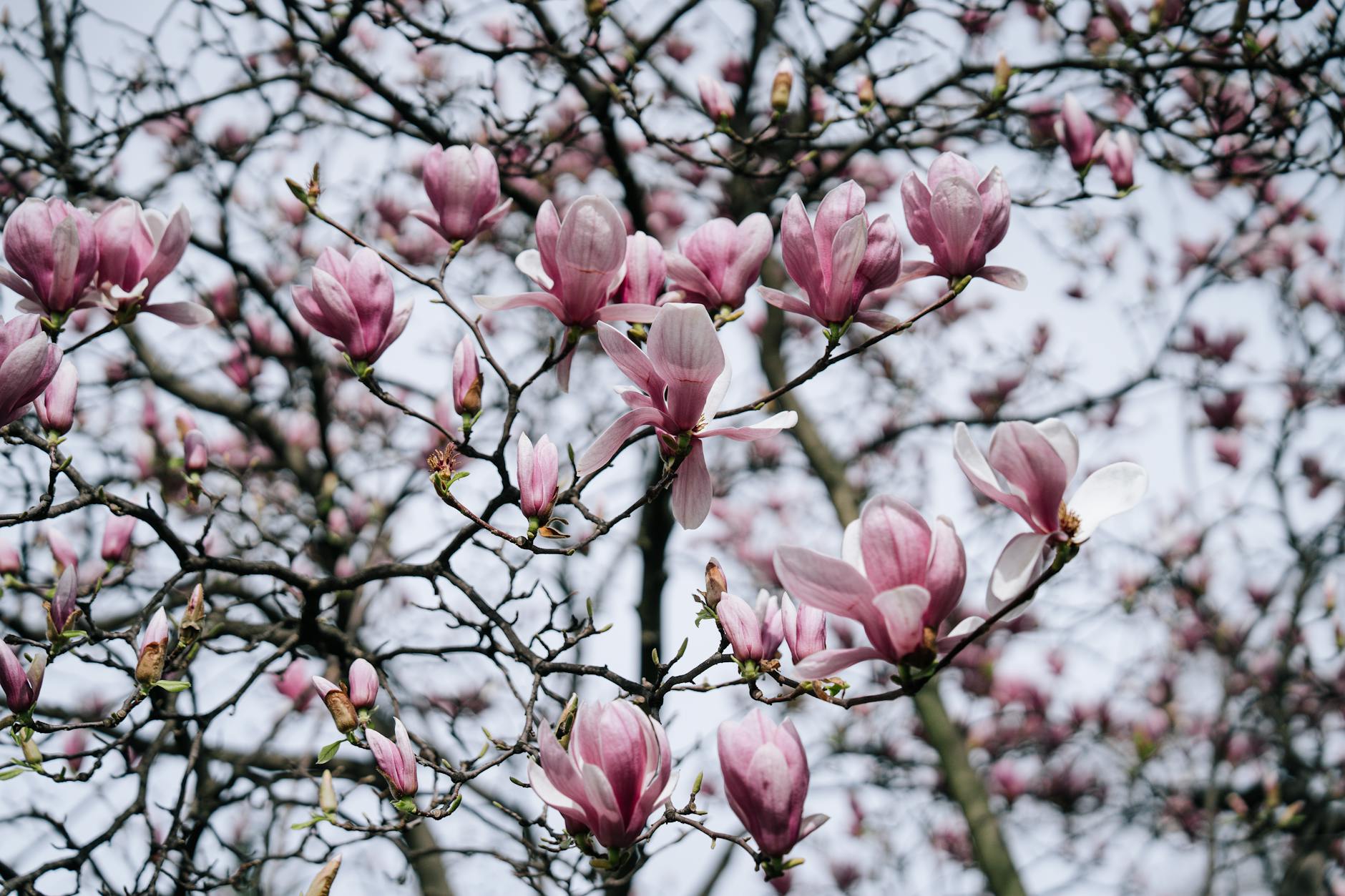 May, Again