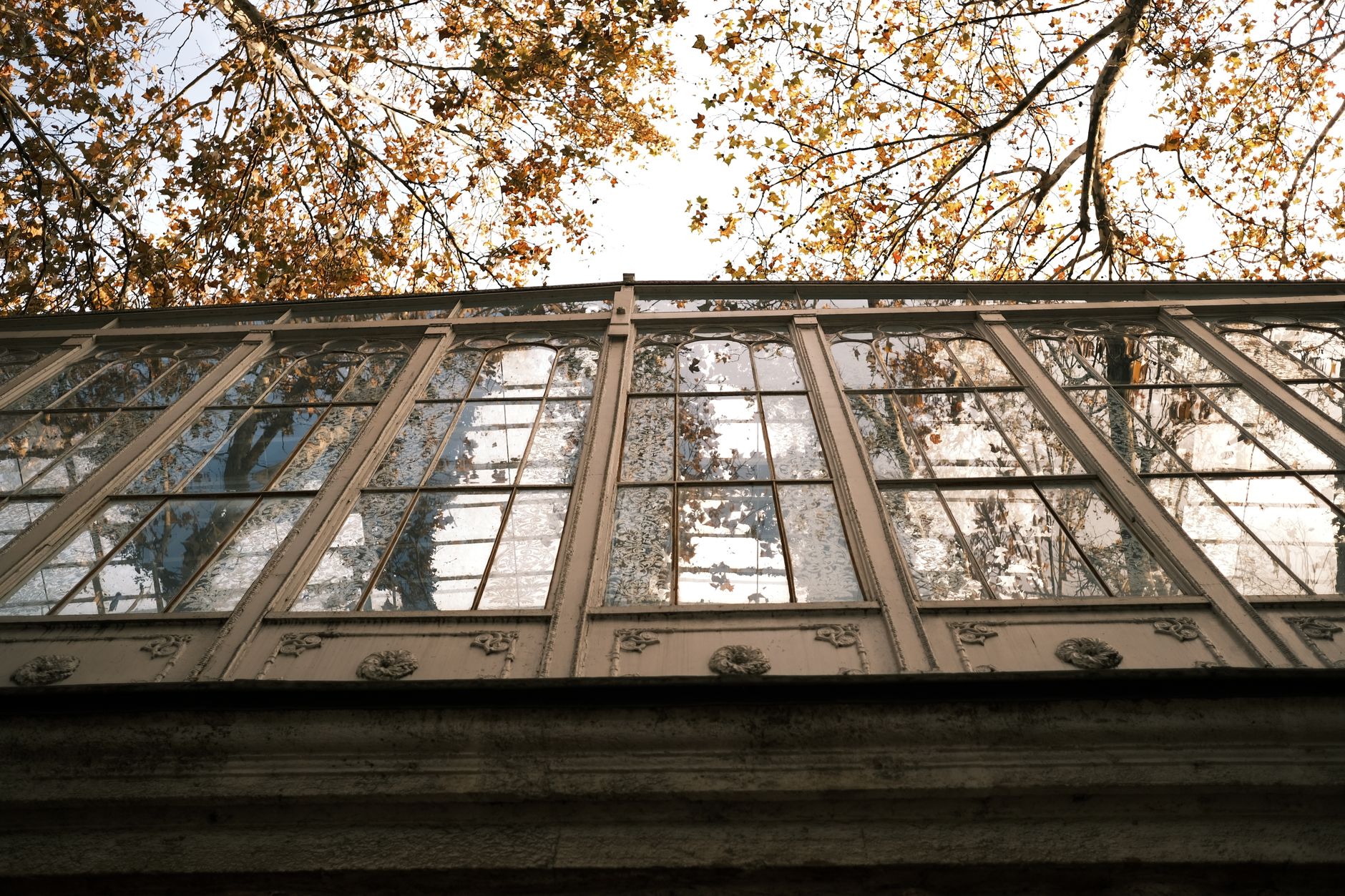 October Light Through Old Glass