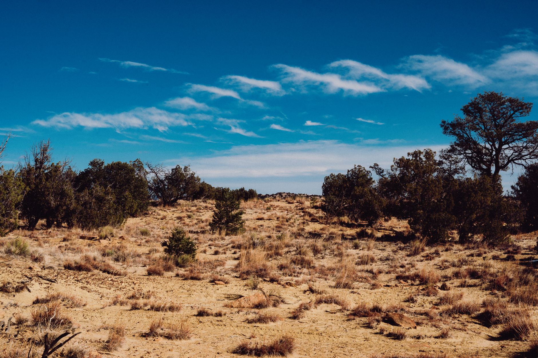The Burning That Does Not Consume: A Reflection on Exodus 3