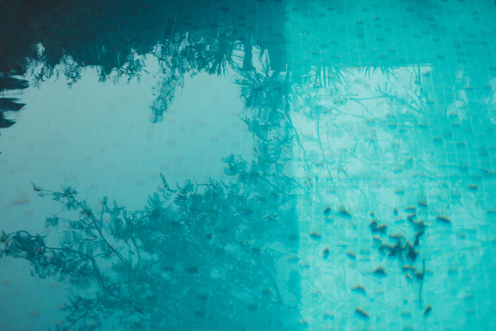 The Man by the Pool: A Reflection on John 5