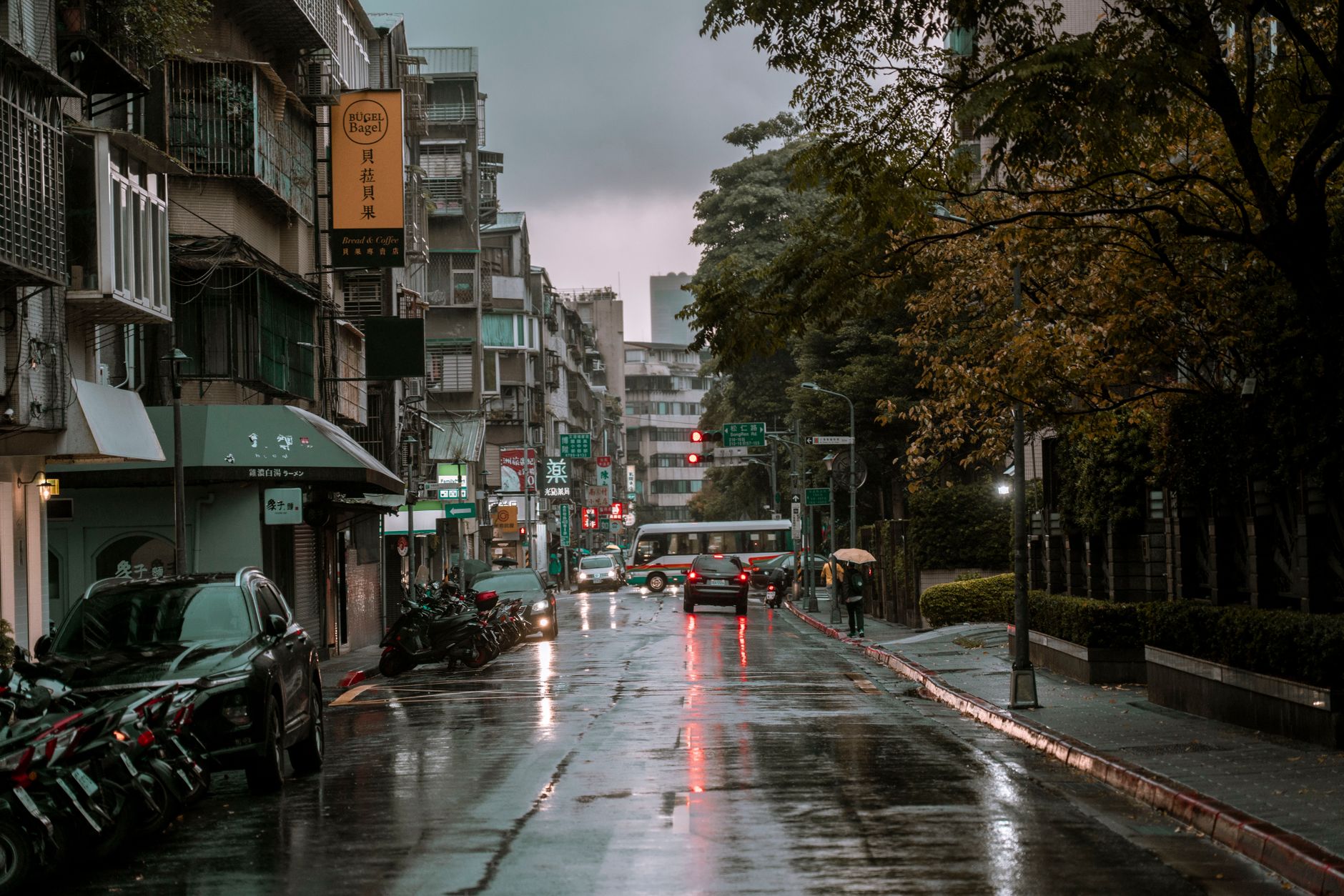 The Umbrella I Never Have When It Rains